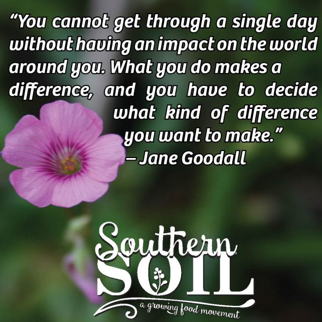 Decide what difference Southern Soil